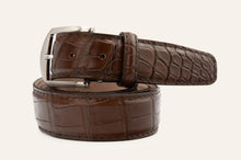 L.E.N. American Alligator in Tobacco