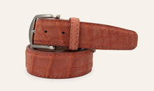 L.E.N.  American Alligator in Autumn