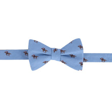 Down The Stretch Bow Tie